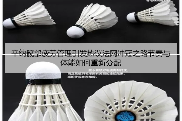 辛纳髋部疲劳管理引发热议法网冲冠之路节奏与体能如何重新分配